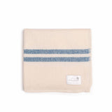 Barney's blue blanket