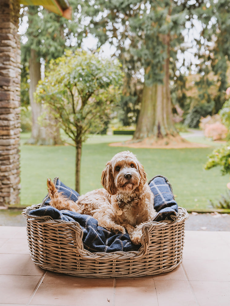 
                  
                    Load image into Gallery viewer, Takarangi Tartan Pet Bed (Large)
                  
                