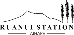 ruanuistation