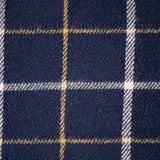 Takarangi Tartan picnic blanket